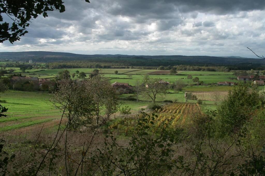 Le Coeur Du Lys Villa Chissey-les-Macon Luaran gambar